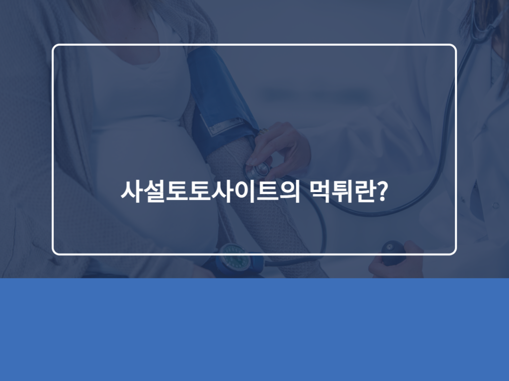 사설토토사이트의 먹튀란